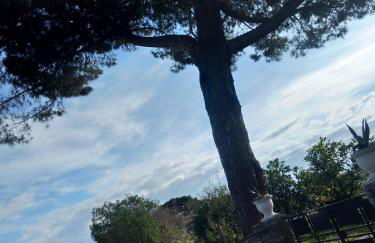 Un Nid Douillet en bord de plage !! - Foto 29