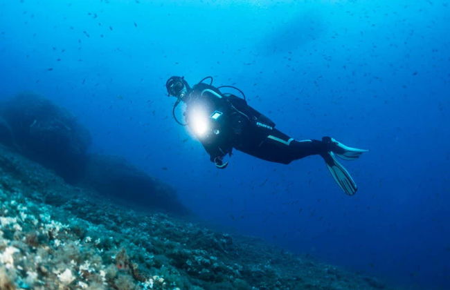 Scuba Diving in Mirissa - Foto 5