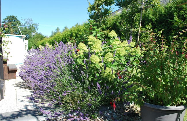 Holiday Home in Przew?oka With Forest - Photo 36