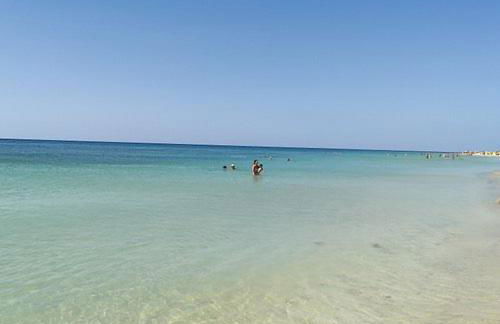 Aurora e Alba - Foto 27