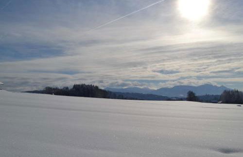 Pichler Roswitha - Foto 16