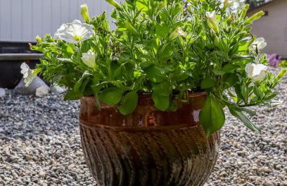 The Nook At Big Lake AK - Foto 22