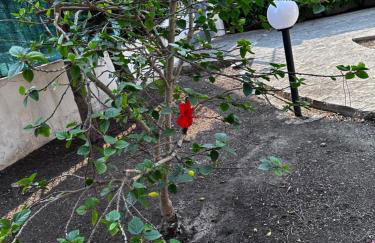 Villa Indipendente Salento Mare - Foto 14