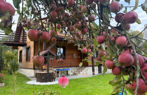 Agroturystka Dom w Owocowym Sadzie - Foto 8