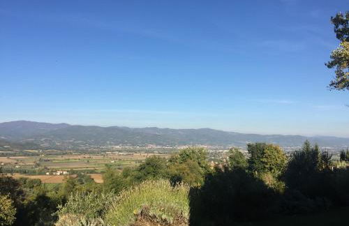 Vigna del Poggio - Foto 33