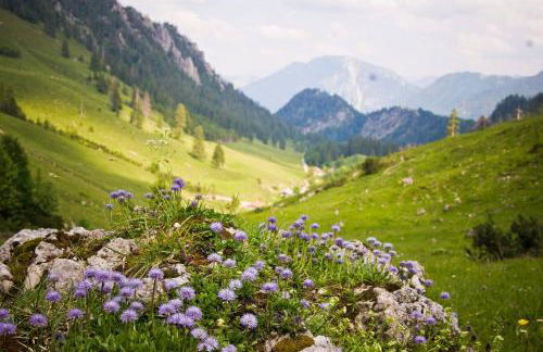 Landhaus Gastager - Foto 56