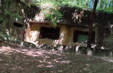 Agroturystyka Stara Huta - Foto 25