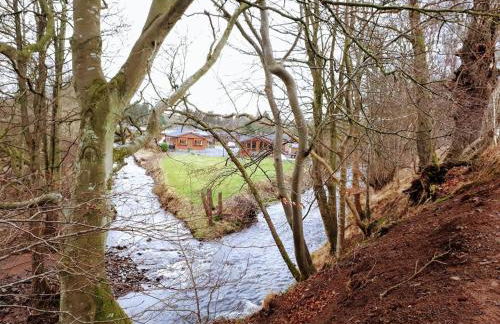 Grandeagles Extra large lodge - Foto 20