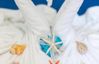 La Necussella - Foto 53