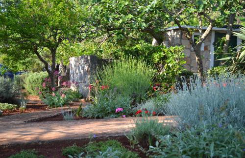 Apartments Basina - Foto 61