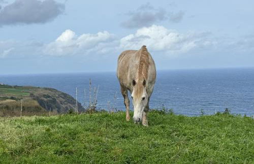 Casa Amélia - Photo 33