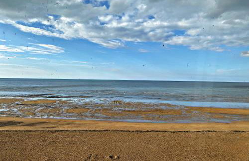 La Canadienne - Photo 15