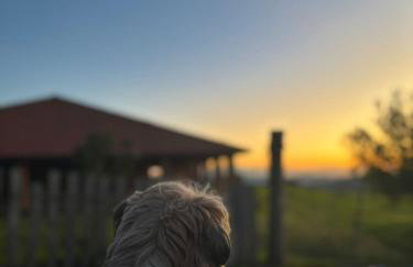 Fazenda Serra da Cascata desde 1915 - Foto 48