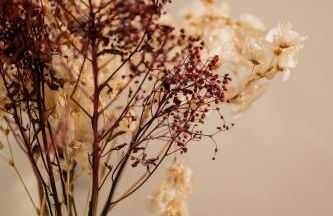 Lofts Luxo Xavishome Palacio Quitandinha Petropolis - Foto 68