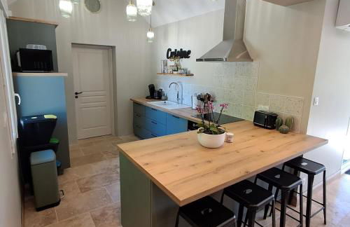 Proche châteaux de la Loire zoo Beauval gite de sologne 3 étoiles - Photo 4