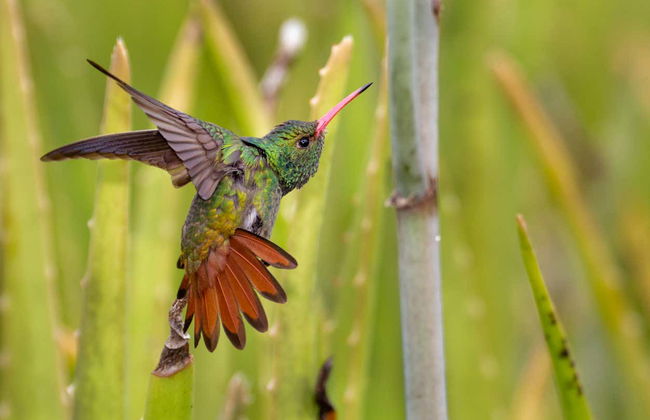 Rio Verde Trip - Photo 4