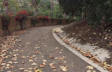 Spacious Luxury home in Gated Community with Resort Pool & Scenic Views - Photo 71