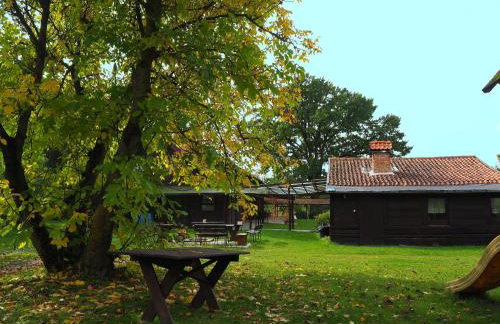 Dom Gościnny Bogdany - Foto 12