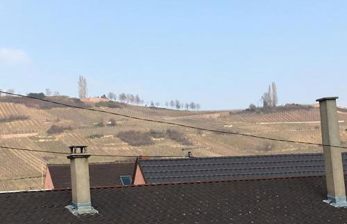 Gîte Faubourg des Pierres - Foto 23