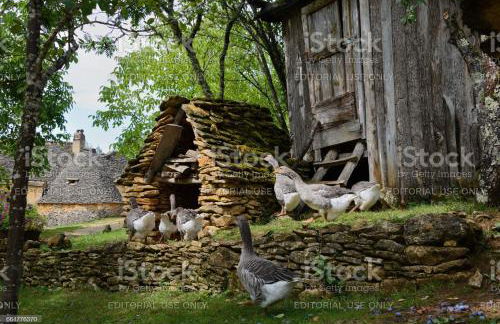 Studio2 Fontaine de L'amour - Foto 21
