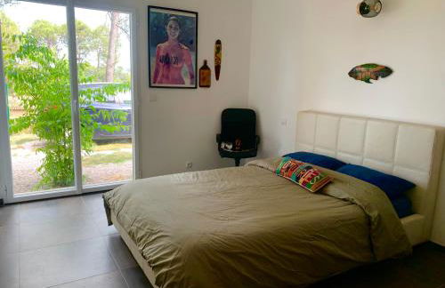 Chambre dans une charmante maison au coeur des vignes du Pic Saint Loup - Foto 5