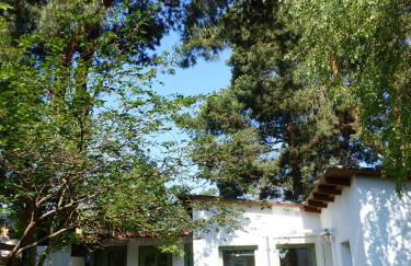 Feine Laube - Foto 20