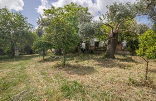 Finca Ecológica Morera - Foto 30