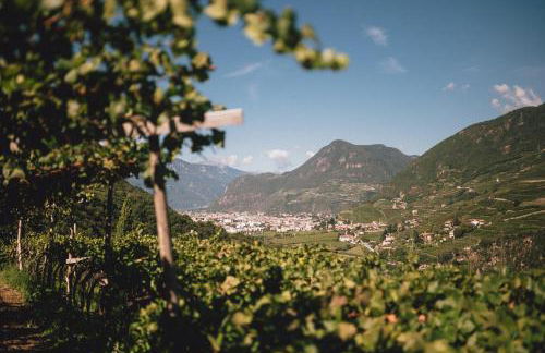 Pitzner - Winery & Suites - Foto 20