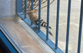 Casa Rural Madre del Agua. Finca El Robledillo - Foto 54