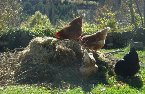 Casa Rural Basajarau - Photo 37