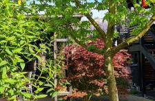 Apartment Rose - Foto 41