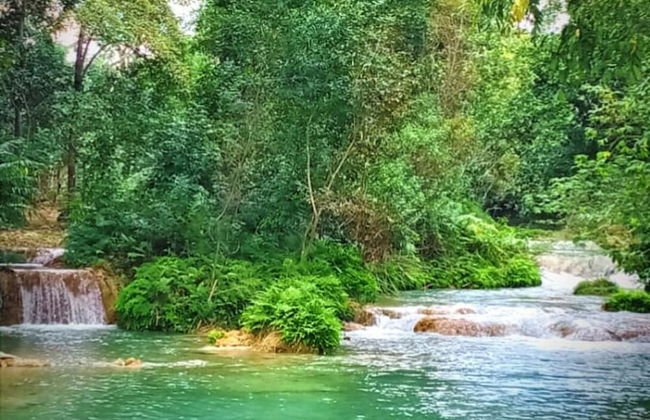 Room in Cabin - Cabanas Sierraverde Huasteca Potosina Highland Cabin - Foto 9
