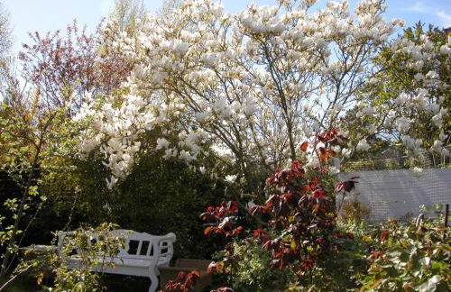 Quarterdeck61 - Foto 8