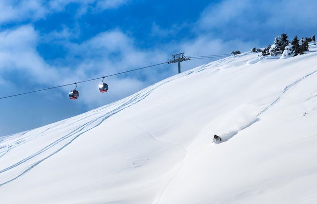 Farmhouse in Hollersbach Near Kitzski - Foto 35
