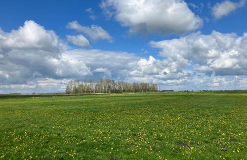 Ferienwohnung Bruns - Foto 10