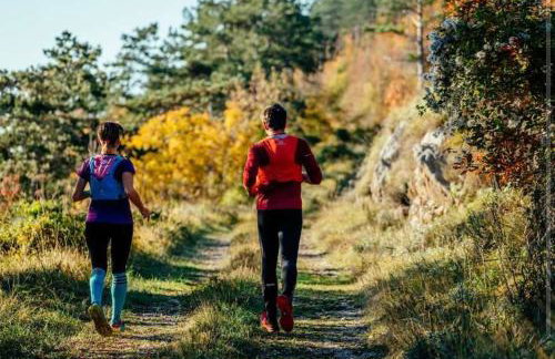Apartment with a terrace Forest Home Lullula - Photo 58
