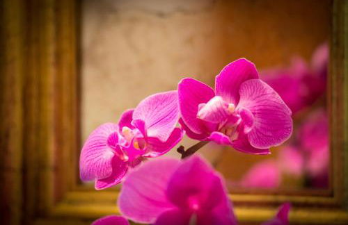 Helen´s House Apartment - Foto 10