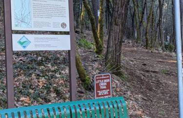 1870s Stained Glass Nostalgia - Foto 24