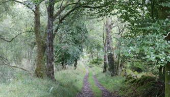 Farmston Lodge - Foto 5