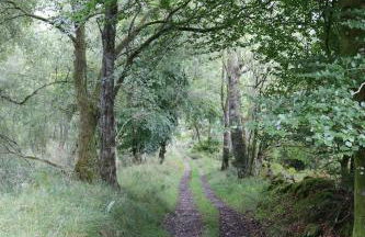 Farmston Lodge - Foto 5