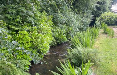 Beekeepers Cottage - Photo 19