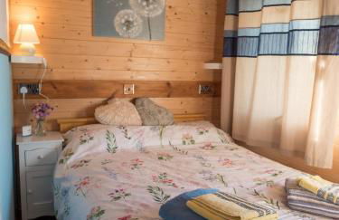 Enlli Fach cabin sleep's 2 adults and 2 children 2 dogs welcome not suitable for contract workers due to parking height restrictions - Photo 23