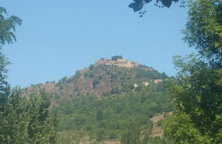 Les 3 marguerites - Foto 13