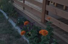 Domek letniskowy ze stawem - Foto 24