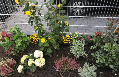 Feriendomizil Dornum Haus Willy mit Wintergarten und Wallbox - Foto 31