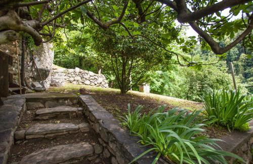 Holiday Home Al Fopp by Interhome - Foto 45