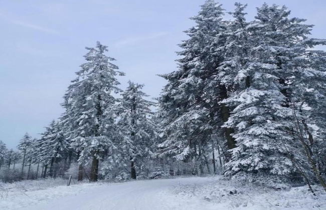 Wohnung in der Nahe des Skigebietes in Diemelsee - Photo 23