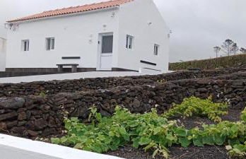 Dream View in Pico - Photo 55