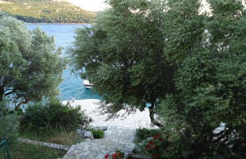 Apartments More - Foto 3