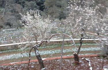 Cottage Eco-Friendly Barcelona country side - Foto 36